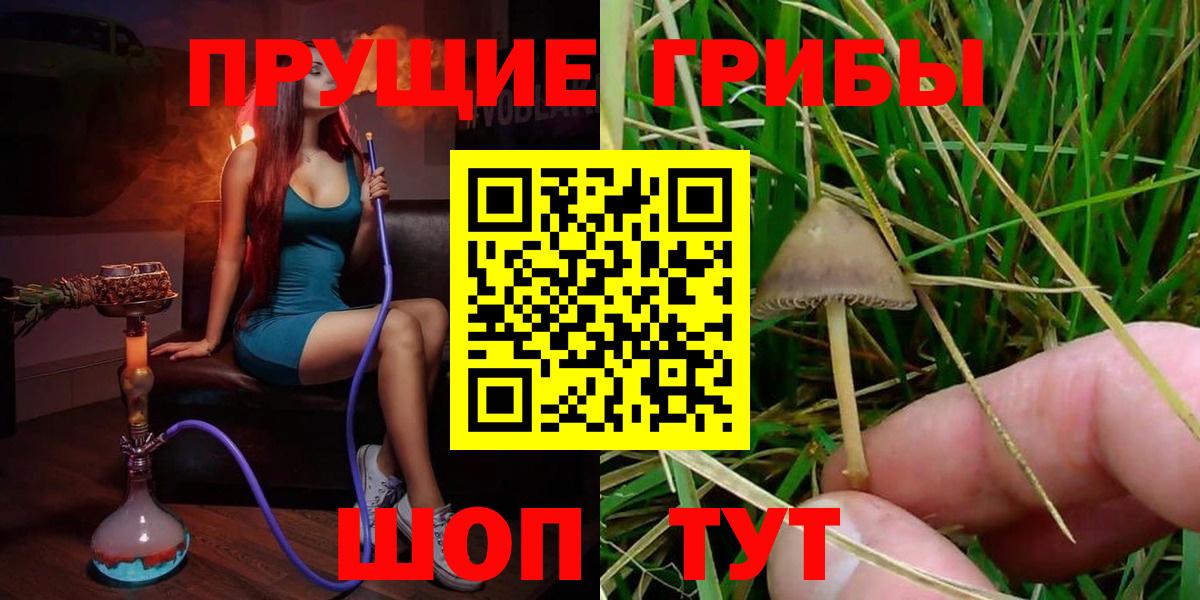 Усинск  Псилоцибиновые грибы MAGIC MUSHROOMS  Вход с VPN  Галлюциногенные грибы MAGIC MUSHROOMS 